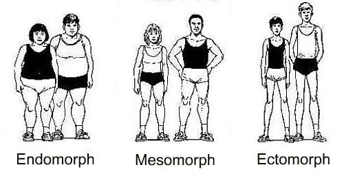 endo morph body type