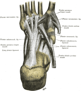 Hypermobility Part 2: Embracing “Wonky” Joints - Mind 2 Body Fit